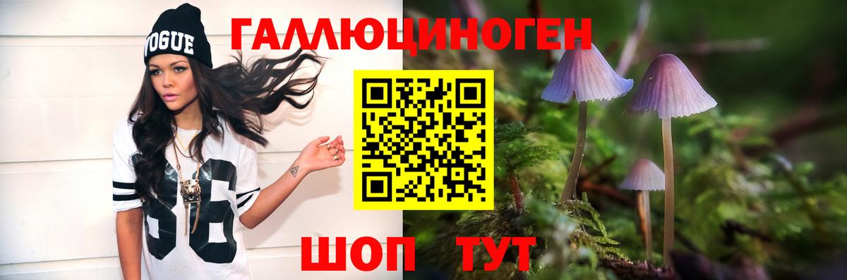 Галлюциногенные грибы прущие грибы Нижнекамск